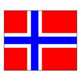 Norges flag 160